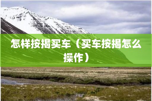 怎样按揭买车（买车按揭怎么操作）