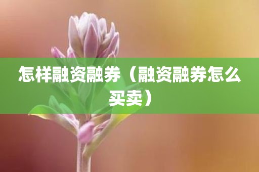 怎样融资融券（融资融券怎么买卖）