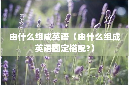 由什么组成英语（由什么组成英语固定搭配?）