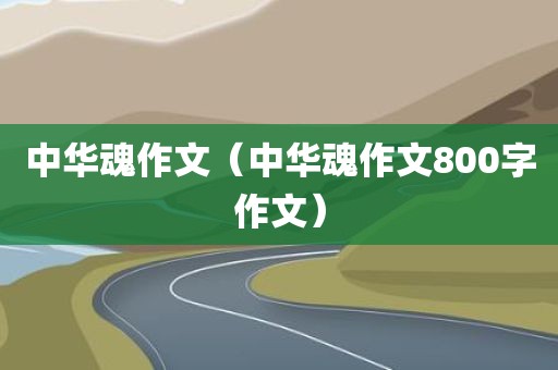 中华魂作文（中华魂作文800字作文）