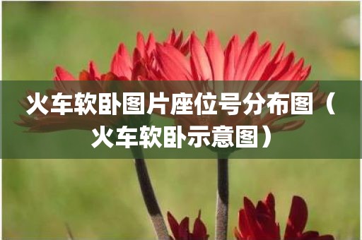 火车软卧图片座位号分布图（火车软卧示意图）