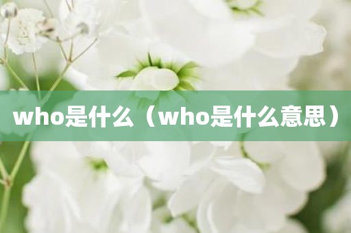 who是什么（who是什么意思）