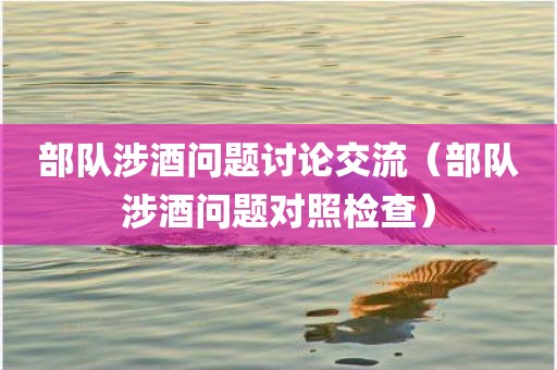 部队涉酒问题讨论交流（部队涉酒问题对照检查）