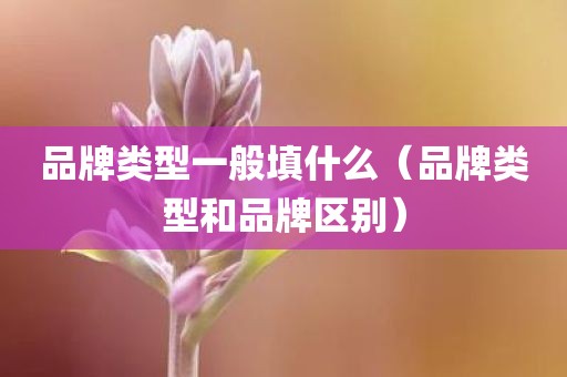 品牌类型一般填什么（品牌类型和品牌区别）