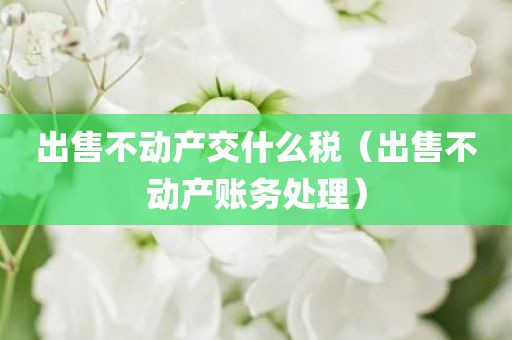 出售不动产交什么税(出售不动产账务处理)