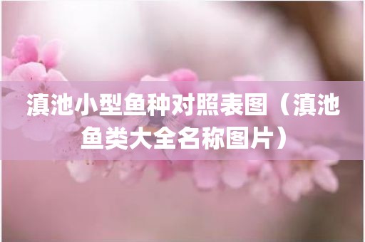滇池小型鱼种对照表图（滇池鱼类大全名称图片）