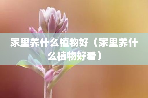 家里养什么植物好（家里养什么植物好看）