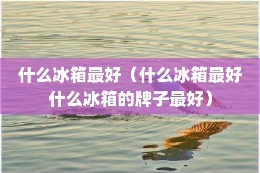 什么冰箱最好（什么冰箱最好什么冰箱的牌子最好）