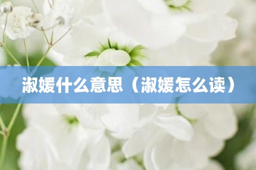 淑媛什么意思（淑媛怎么读）