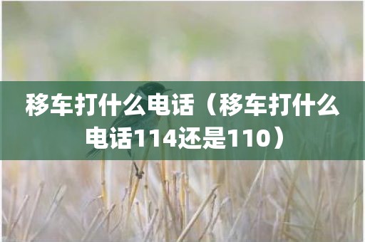 移车打什么电话（移车打什么电话114还是110）