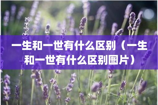 一生和一世有什么区别（一生和一世有什么区别图片）