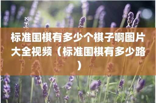 标准围棋有多少个棋子啊图片大全视频（标准围棋有多少路）