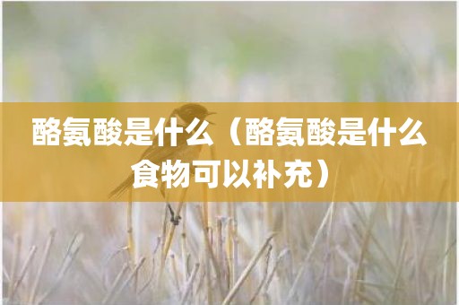 酪氨酸是什么（酪氨酸是什么食物可以补充）