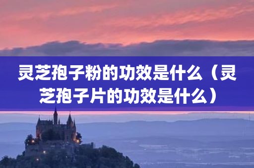 灵芝孢子粉的功效是什么（灵芝孢子片的功效是什么）