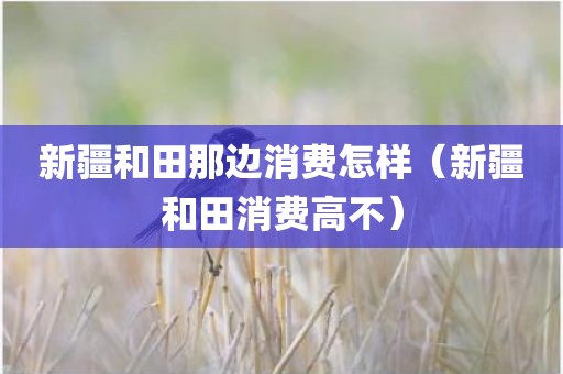 新疆和田那边消费怎样（新疆和田消费高不）