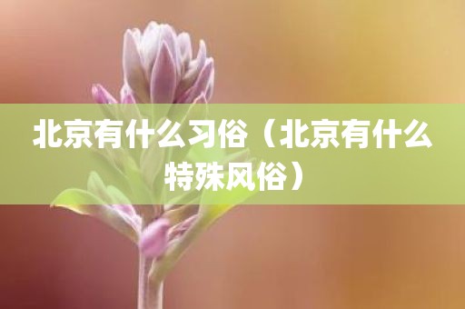 北京有什么习俗（北京有什么特殊风俗）