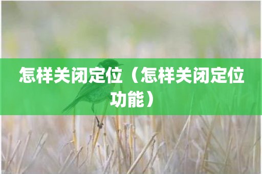 怎样关闭定位（怎样关闭定位功能）