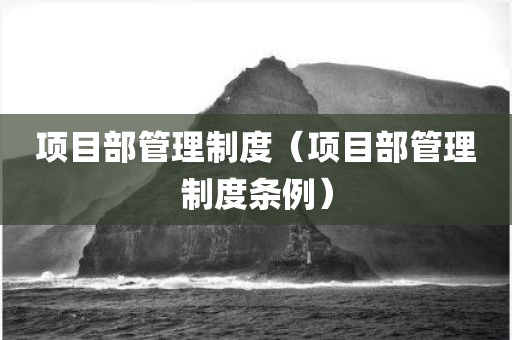 项目部管理制度（项目部管理制度条例）