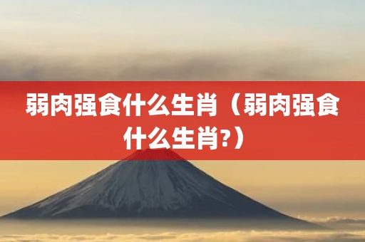 弱肉强食什么生肖（弱肉强食什么生肖?）
