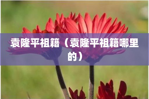 袁隆平祖籍(袁隆平祖籍哪里的)