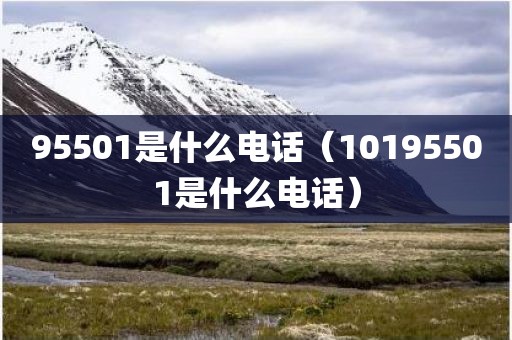 95501是什么电话（10195501是什么电话）