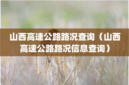 山西高速公路路况查询（山西高速公路路况信息查询）