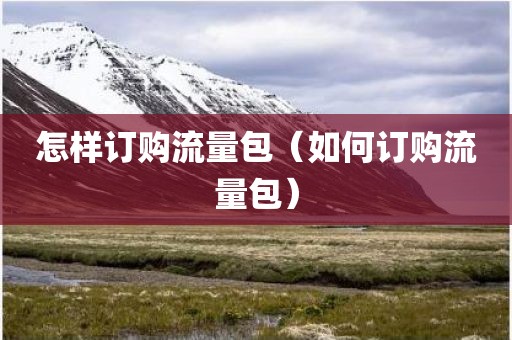 怎样订购流量包（如何订购流量包）