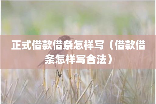 正式借款借条怎样写（借款借条怎样写合法）