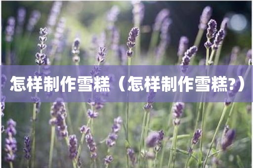 怎样制作雪糕（怎样制作雪糕?）