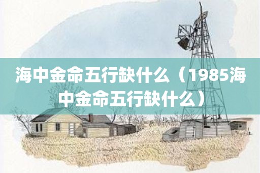 海中金命五行缺什么（1985海中金命五行缺什么）