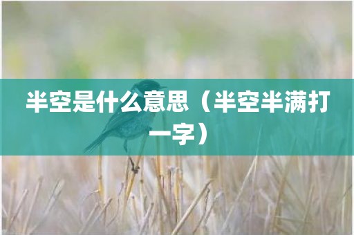 半空是什么意思（半空半满打一字）