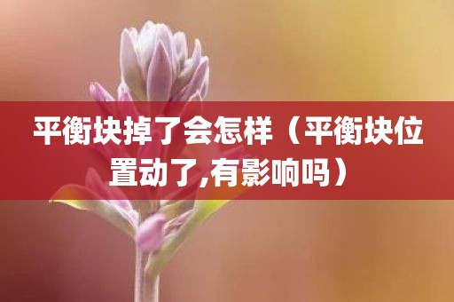 平衡块掉了会怎样（平衡块位置动了,有影响吗）