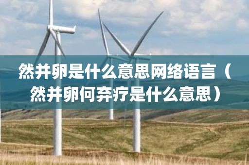 然并卵是什么意思网络语言（然并卵何弃疗是什么意思）