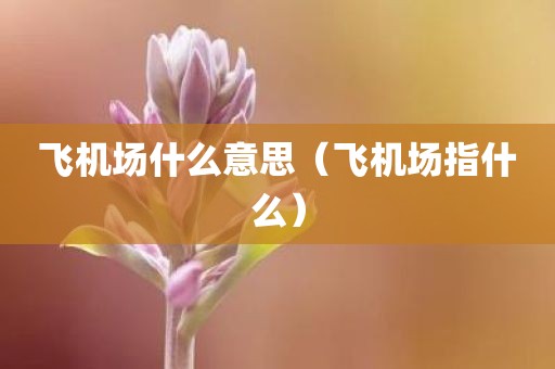 飞机场什么意思（飞机场指什么）