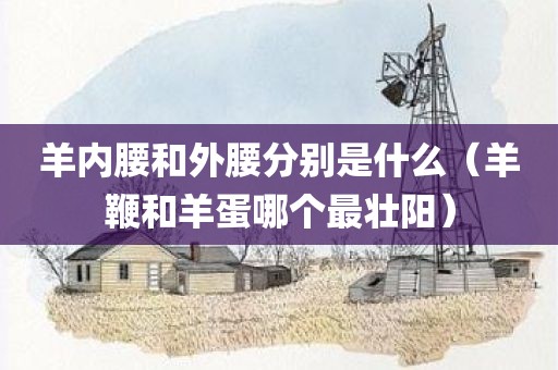 羊内腰和外腰分别是什么（羊鞭和羊蛋哪个最壮阳）