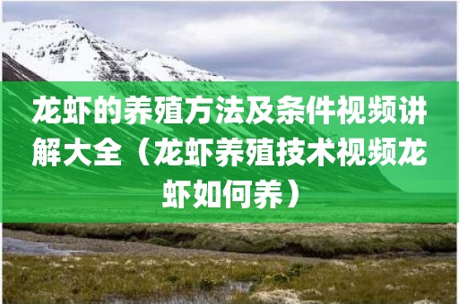 龙虾的养殖方法及条件视频讲解大全(龙虾养殖技术视频龙虾如何养) 龙虾的养殖方法及条件视频讲解大全(龙虾养殖技术视频龙虾如何养)