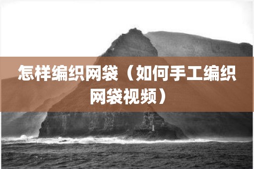 怎样编织网袋（如何手工编织网袋视频）