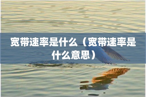 宽带速率是什么（宽带速率是什么意思）