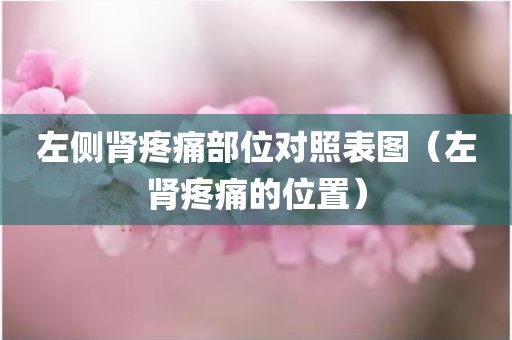 左侧肾疼痛部位对照表图（左肾疼痛的位置）