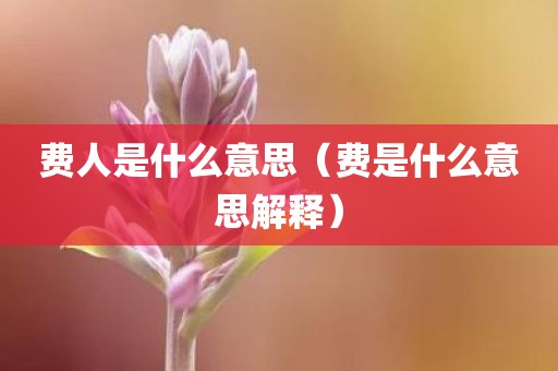 费人是什么意思（费是什么意思解释）