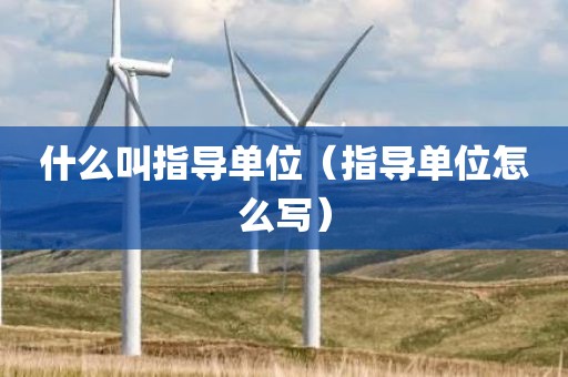 什么叫指导单位(指导单位怎么写)