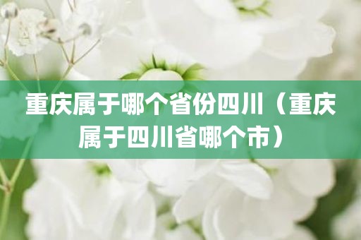 重庆属于哪个省份四川（重庆属于四川省哪个市）