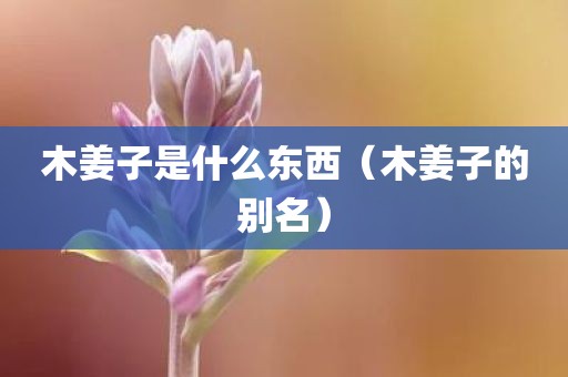 木姜子是什么东西（木姜子的别名）