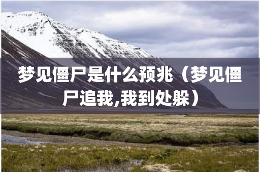 梦见僵尸是什么预兆(梦见僵尸追我,我到处躲)