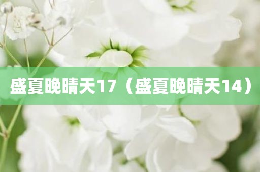 盛夏晚晴天17（盛夏晚晴天14）