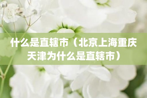 什么是直辖市(北京上海重庆天津为什么是直辖市)
