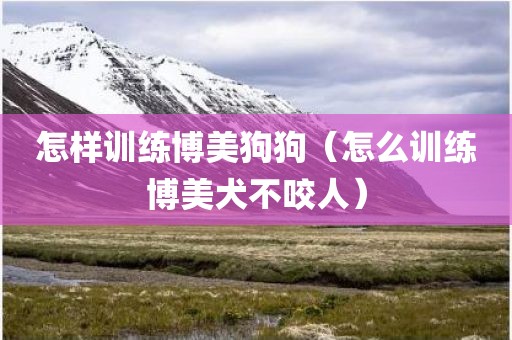 怎样训练博美狗狗（怎么训练博美犬不咬人）