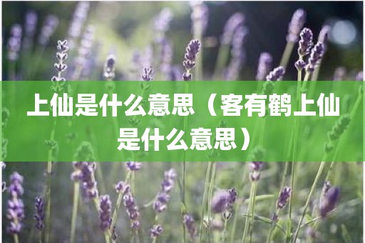 上仙是什么意思（客有鹤上仙是什么意思）