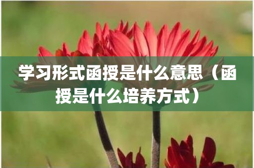 学习形式函授是什么意思（函授是什么培养方式）