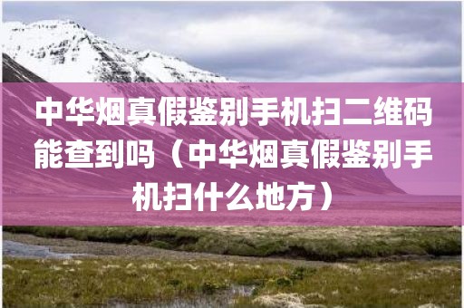中华烟真假鉴别手机扫二维码能查到吗（中华烟真假鉴别手机扫什么地方）